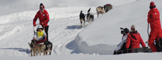 Sleddog in Valle d'Aosta