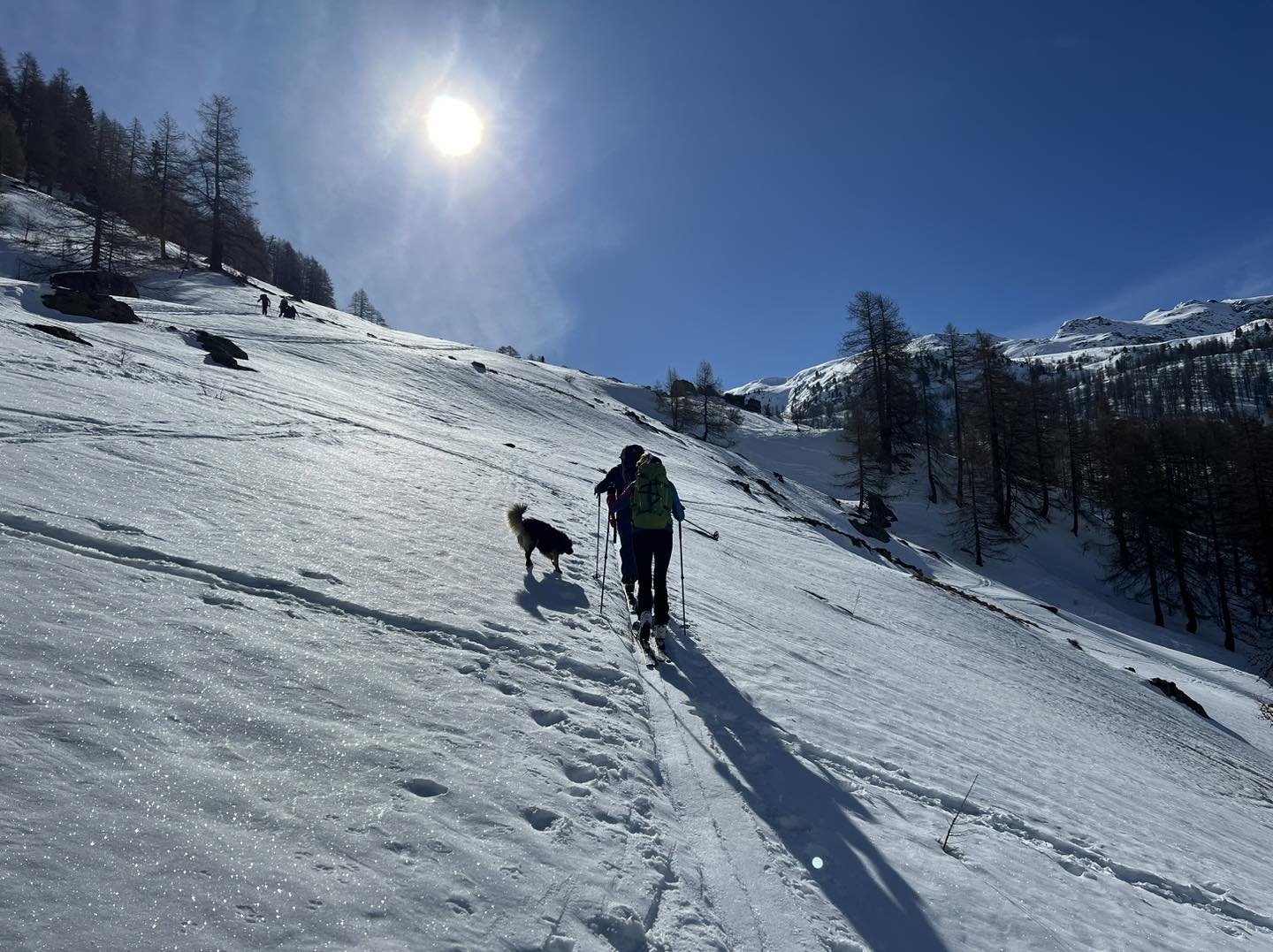 clicca l'immagine per ingrandire