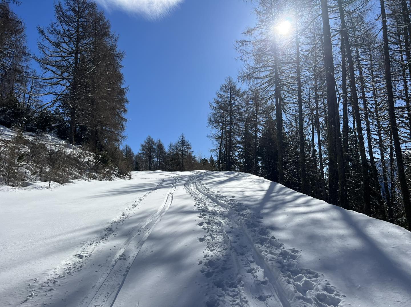 clicca l'immagine per ingrandire