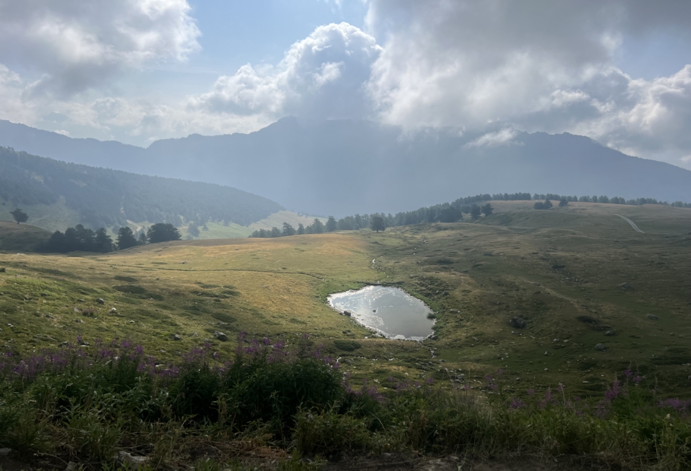 clicca l'immagine per ingrandire